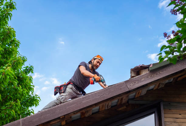 Best 4 Ply Roofing  in Farmerville, LA